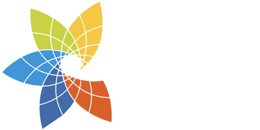 Collective Leadership Institute